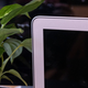 Illustration for article titled Please Put the MacBook Air Out of Its Misery